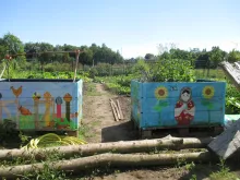 garten 2020 06