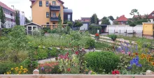 kl 2017.07.05. der garten der begegnung im juli zugeschnitten